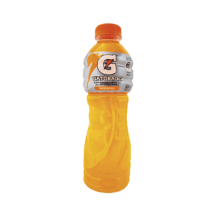 GATORADE PET 500 X 12 UND